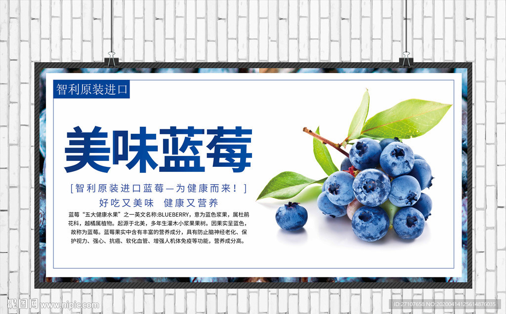 蓝莓海报