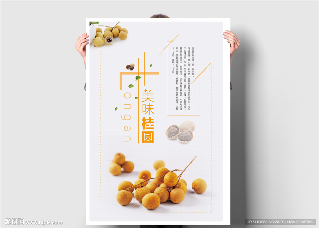 美味桂圆