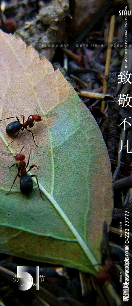 劳动节