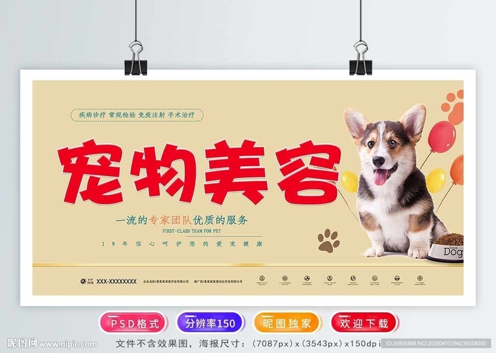 宠物海报