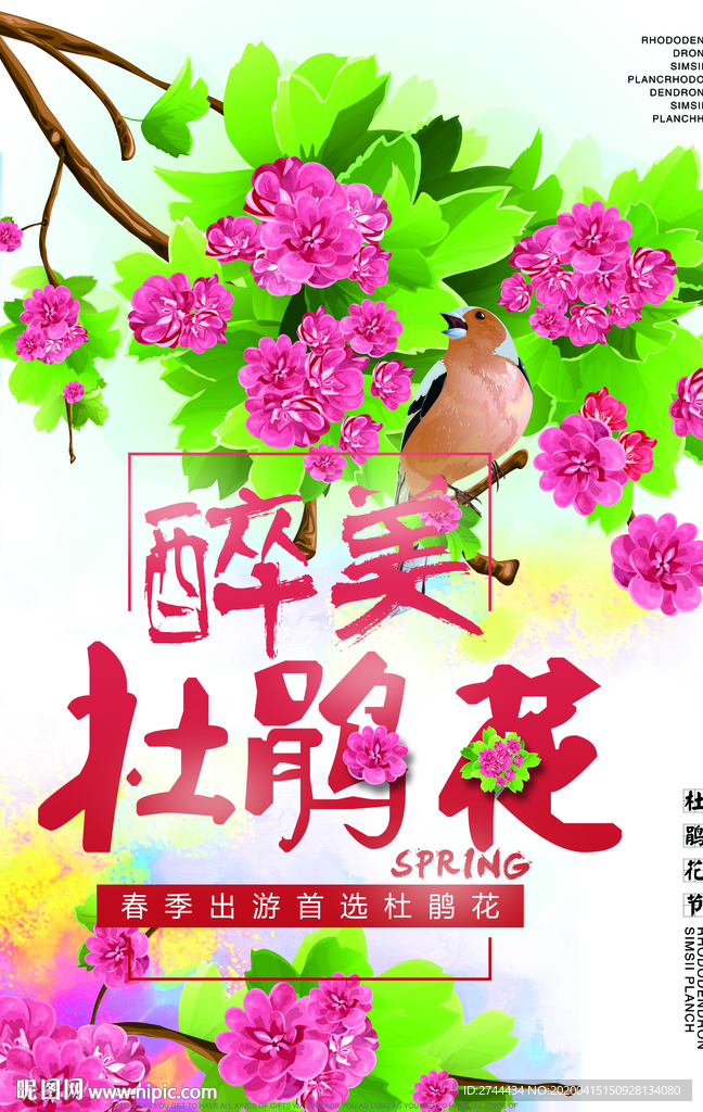 杜鹃花杜鹃节