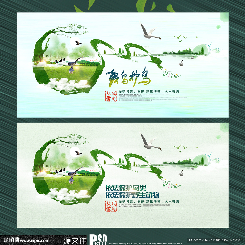 保护鸟类