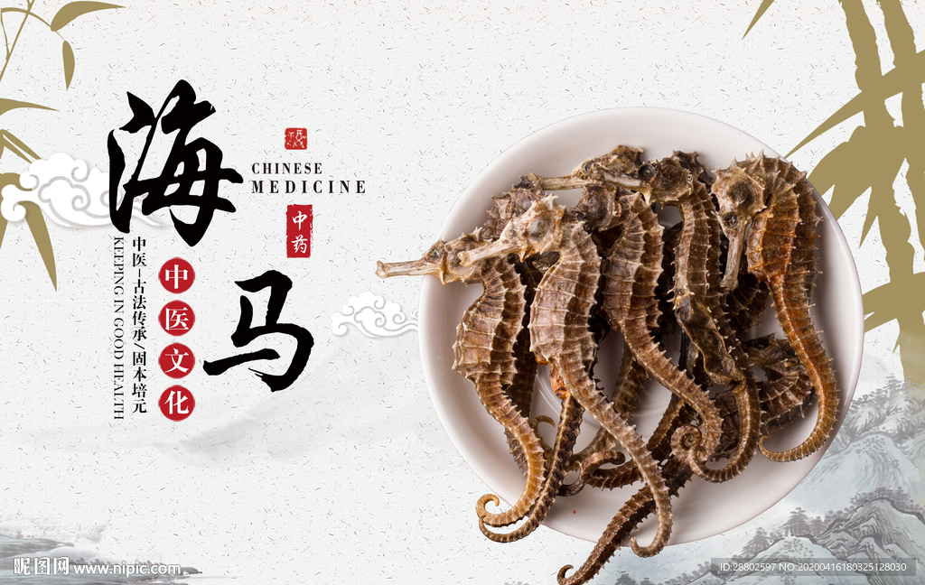海马