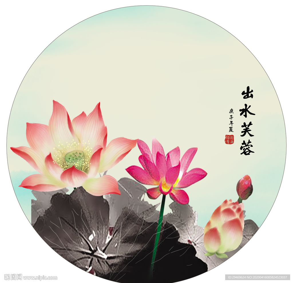 出水芙蓉