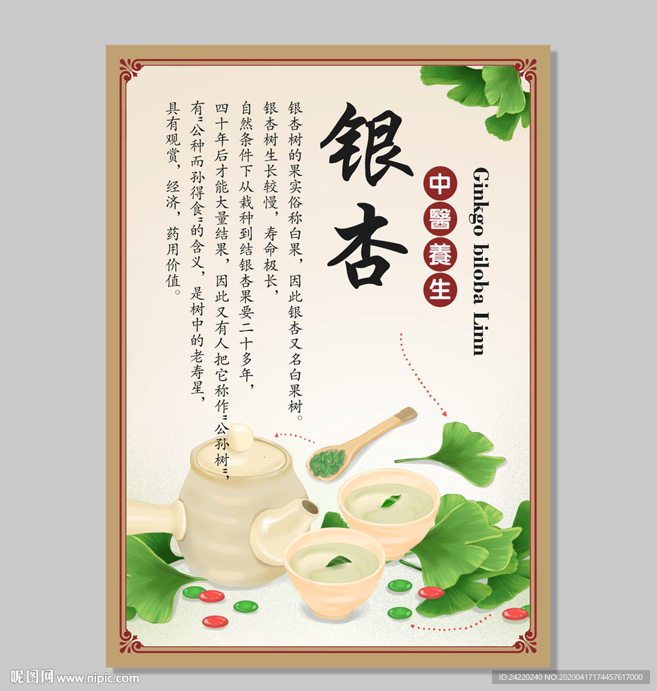 银杏药材海报