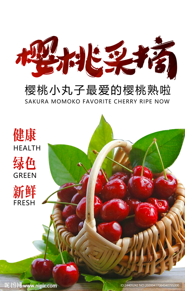 樱桃采摘季