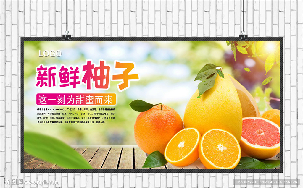 柚子海报