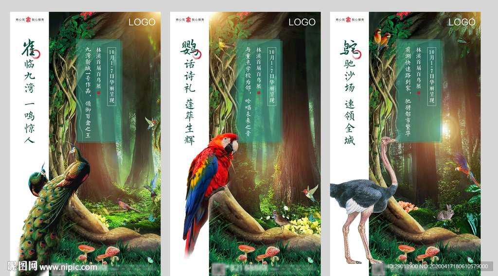 百鸟展系列