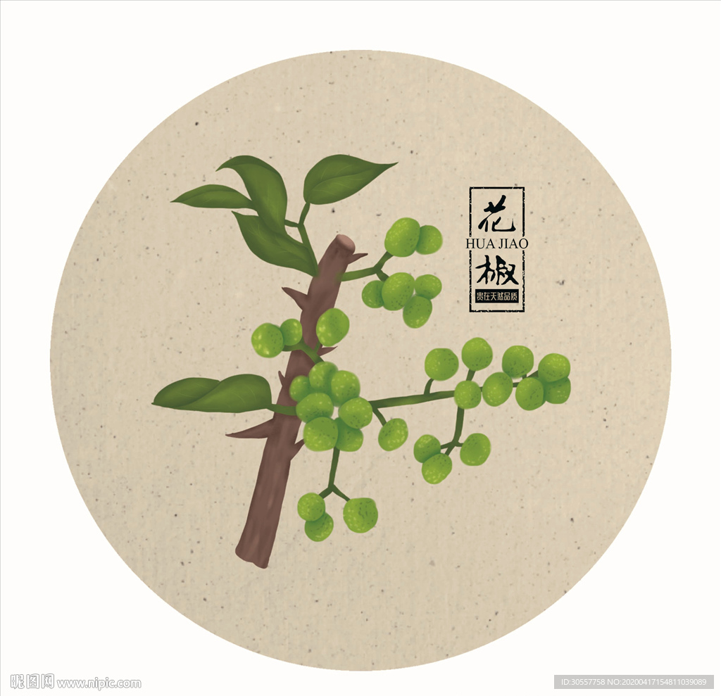 手绘绿花椒