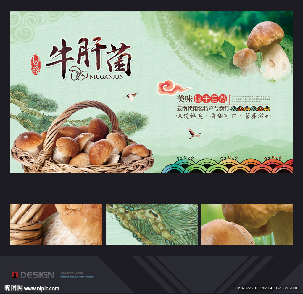牛肝菌