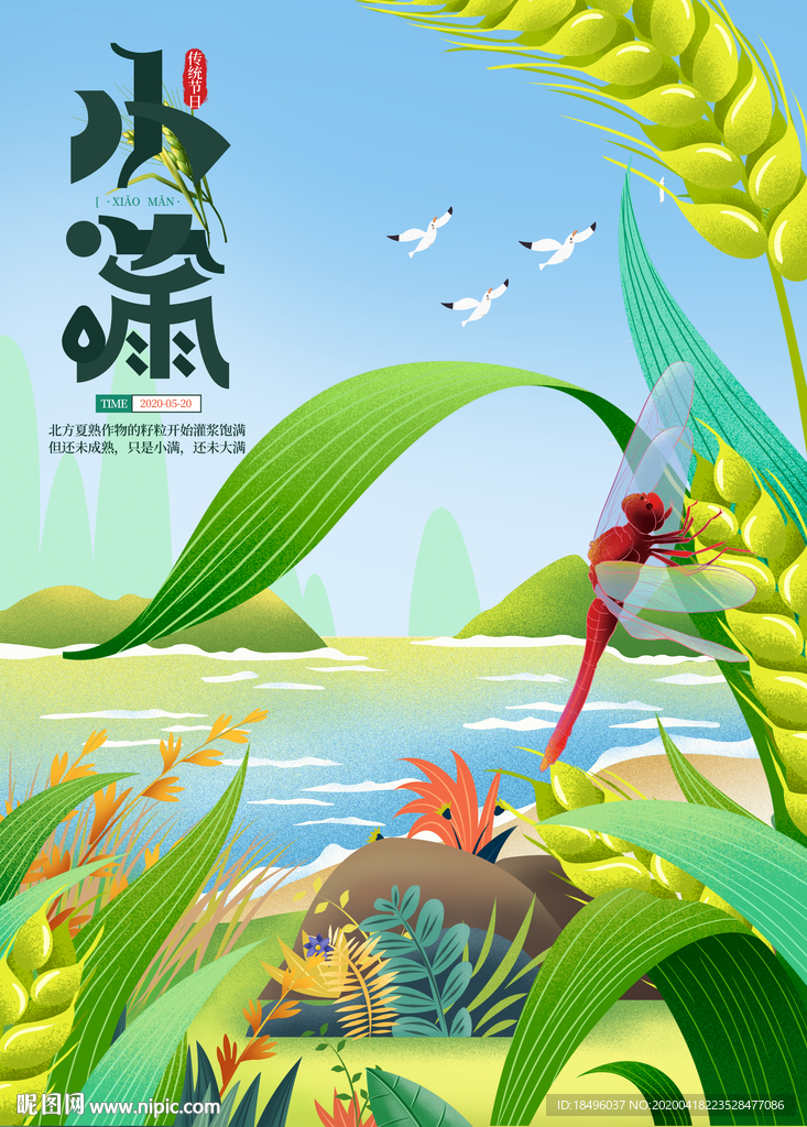 小满节气