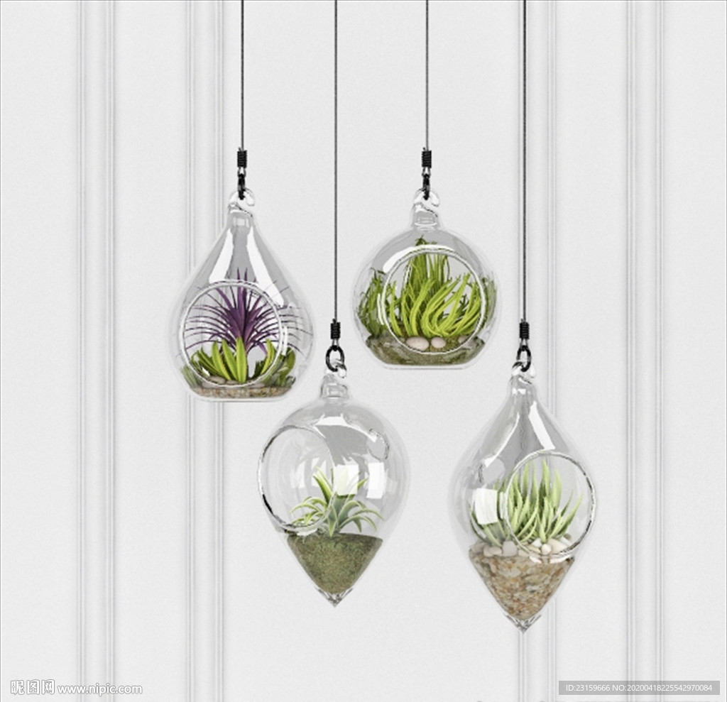 悬挂玻璃花瓶植物