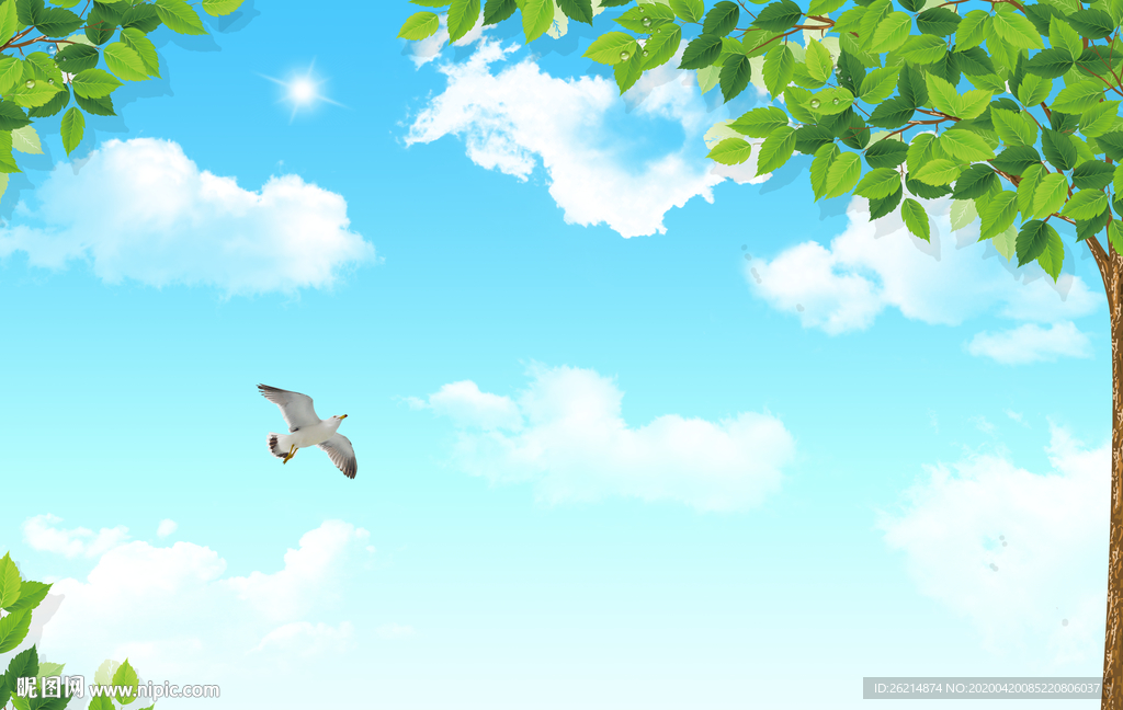 绿叶蓝天白云自然风景