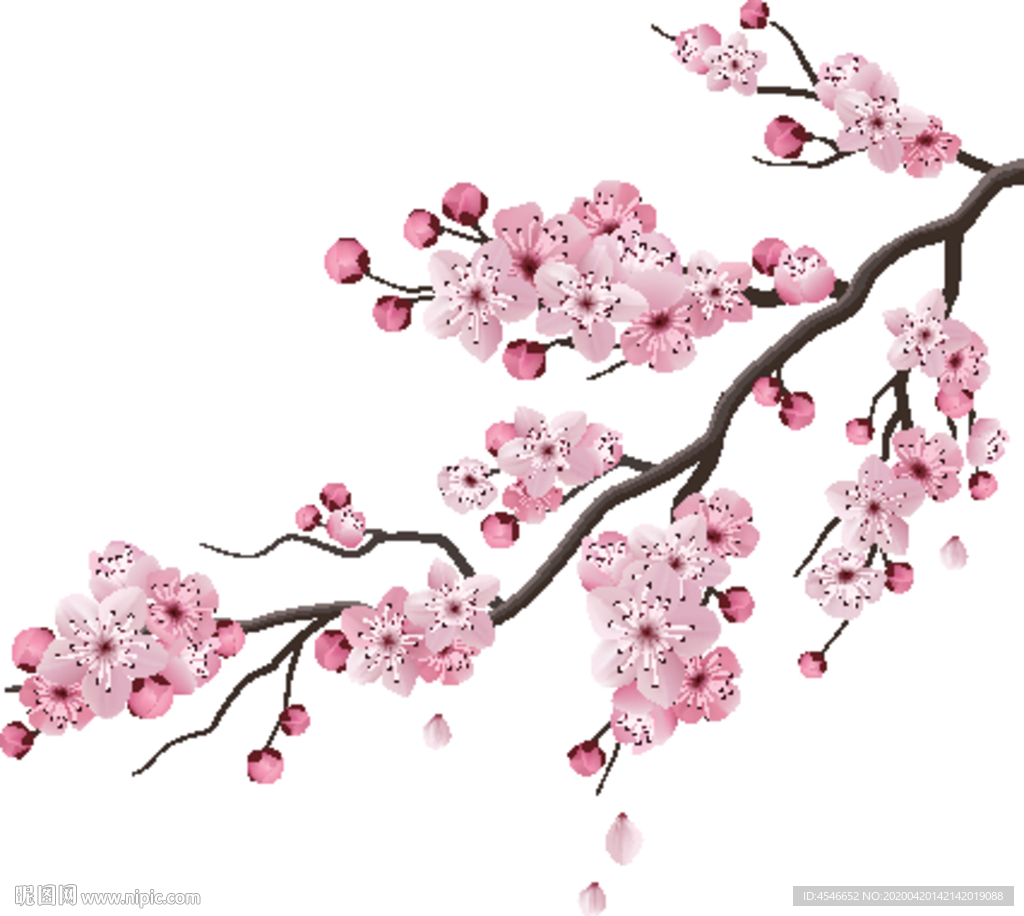 矢量樱花免扣