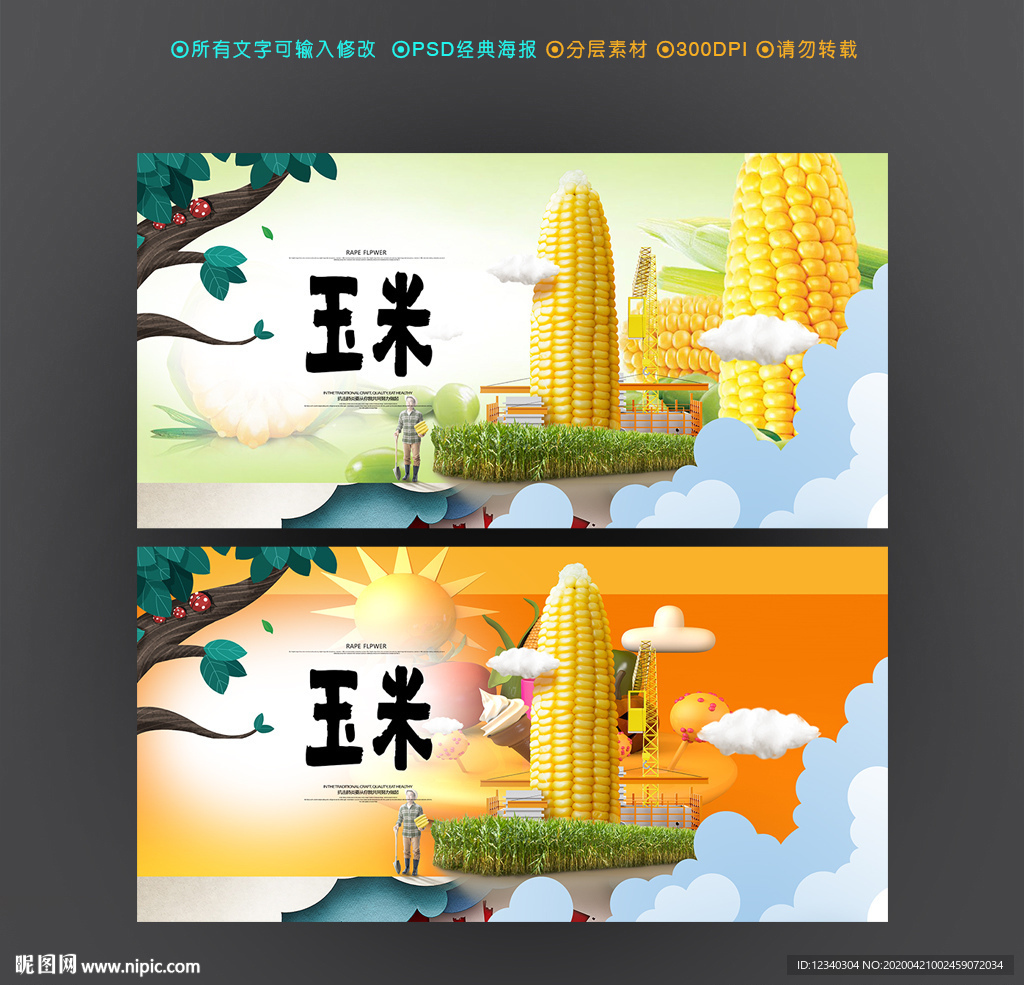 玉米
