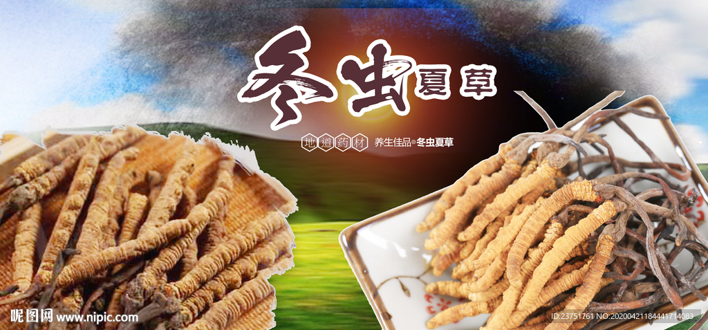 冬虫草
