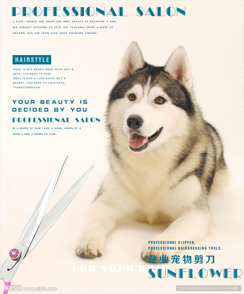 宠物美容