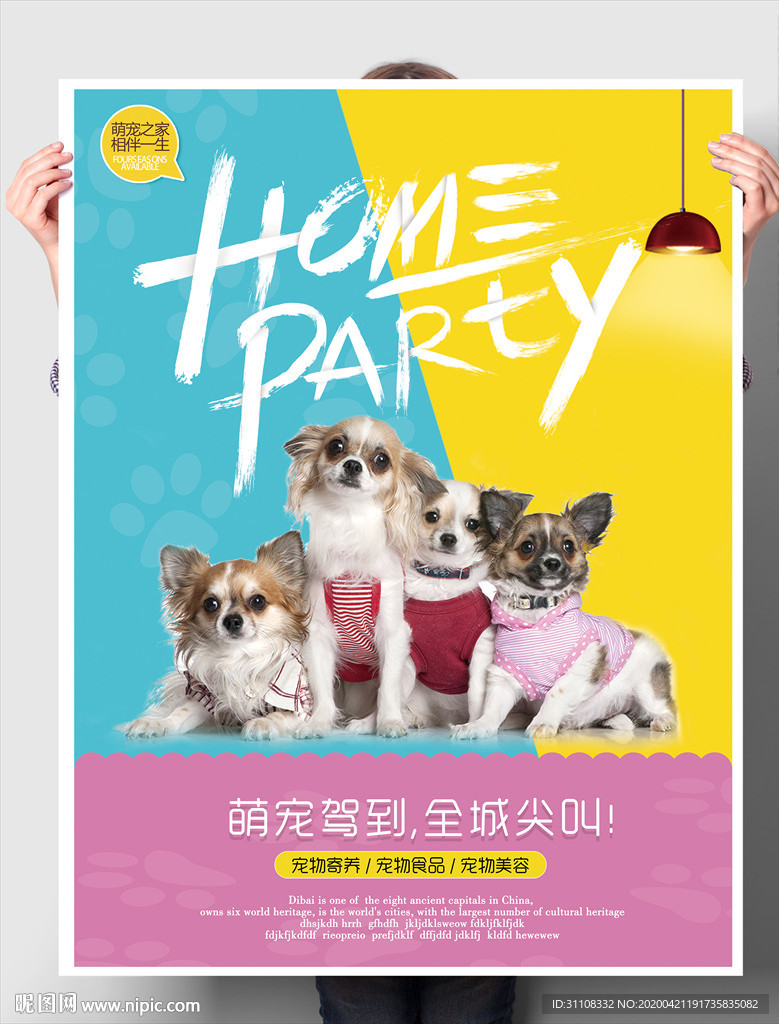 宠物店促销