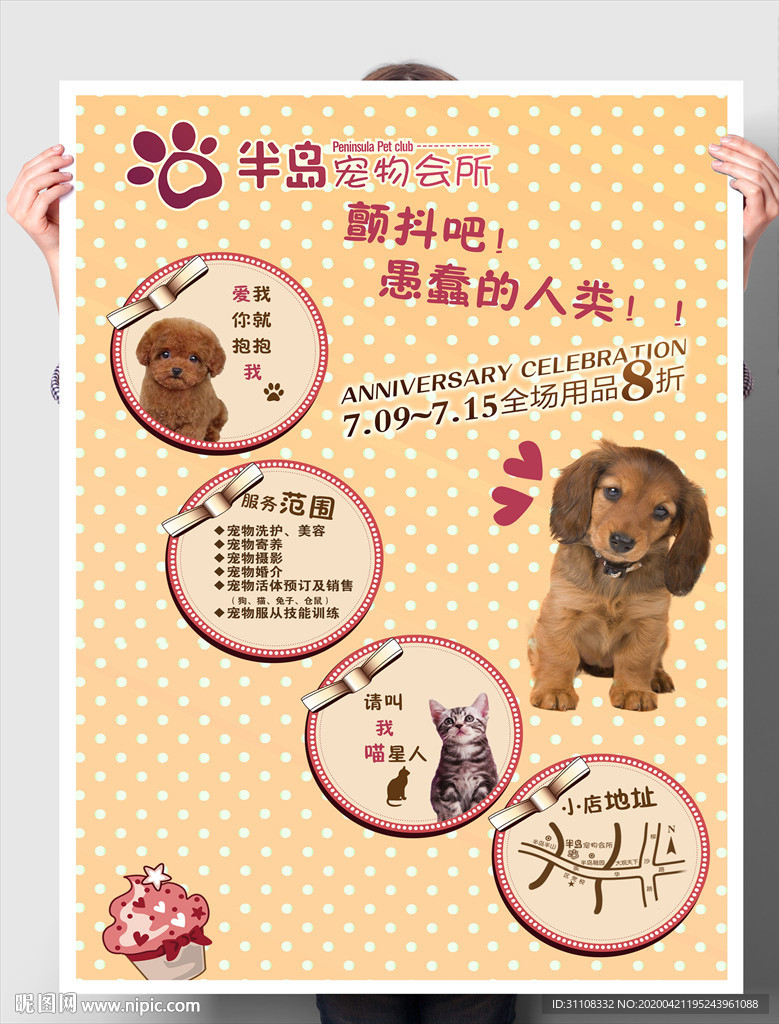 宠物会所 宠物店促销