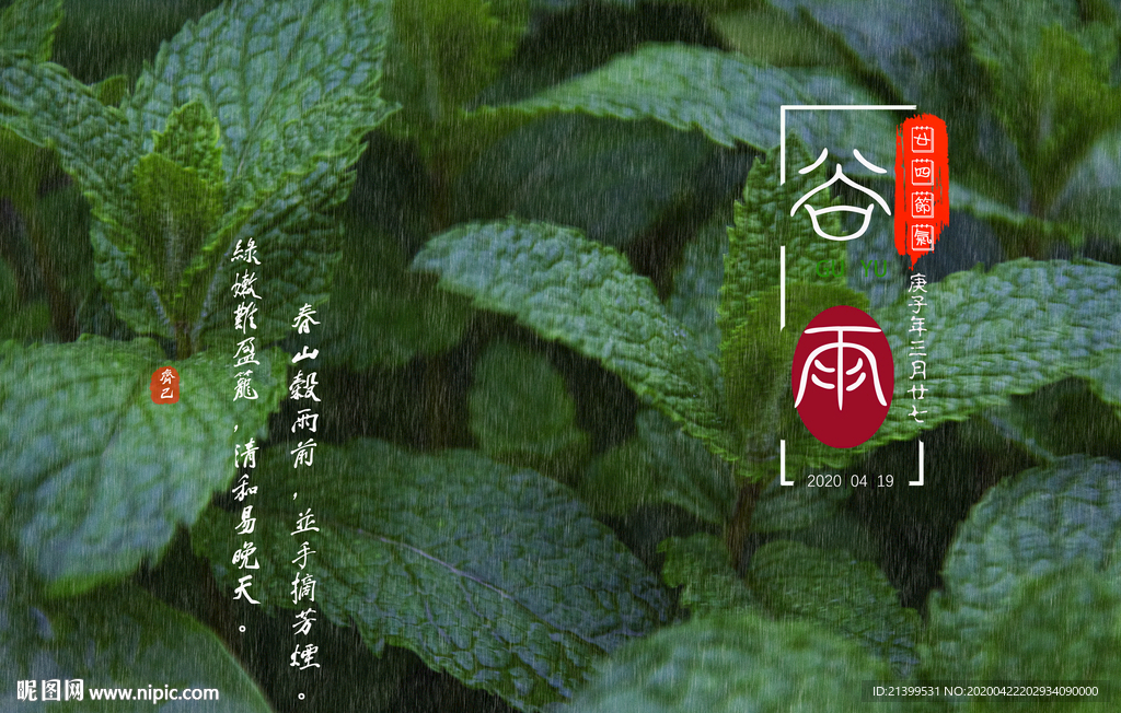 谷雨封面