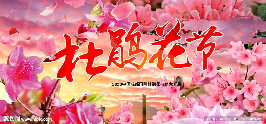 杜鹃花