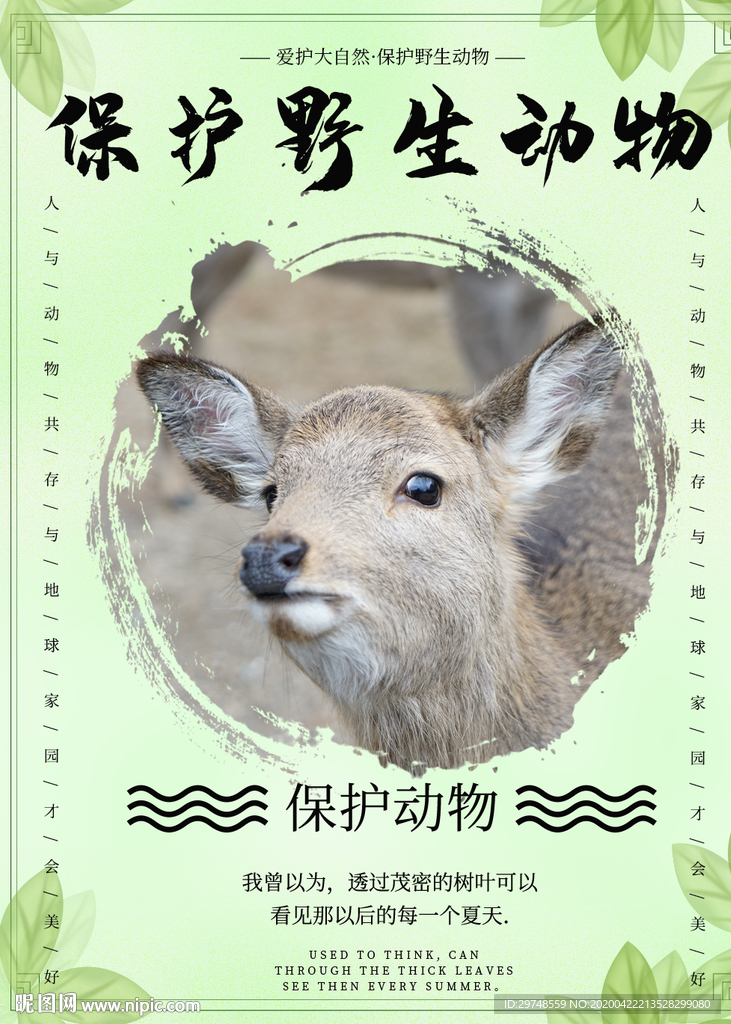 保护野生动物