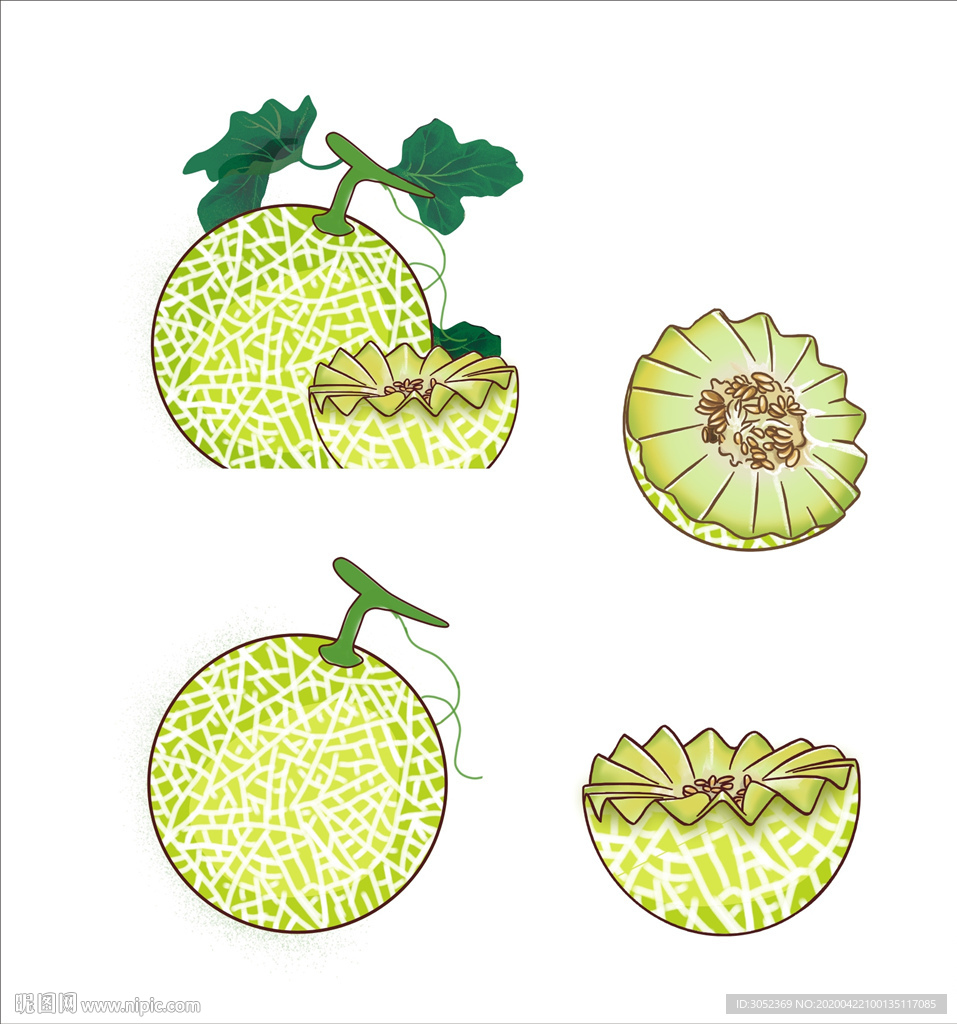 网纹蜜瓜