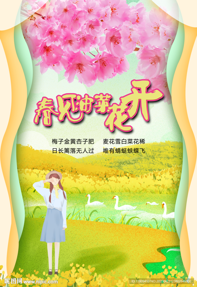 春见油菜花开