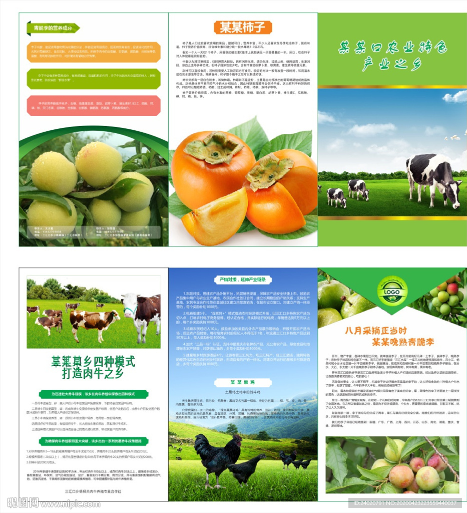三汇好李 三折页