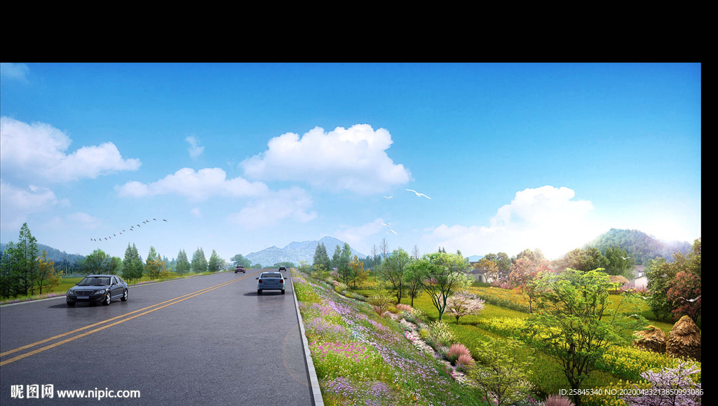 道路山坡花卉