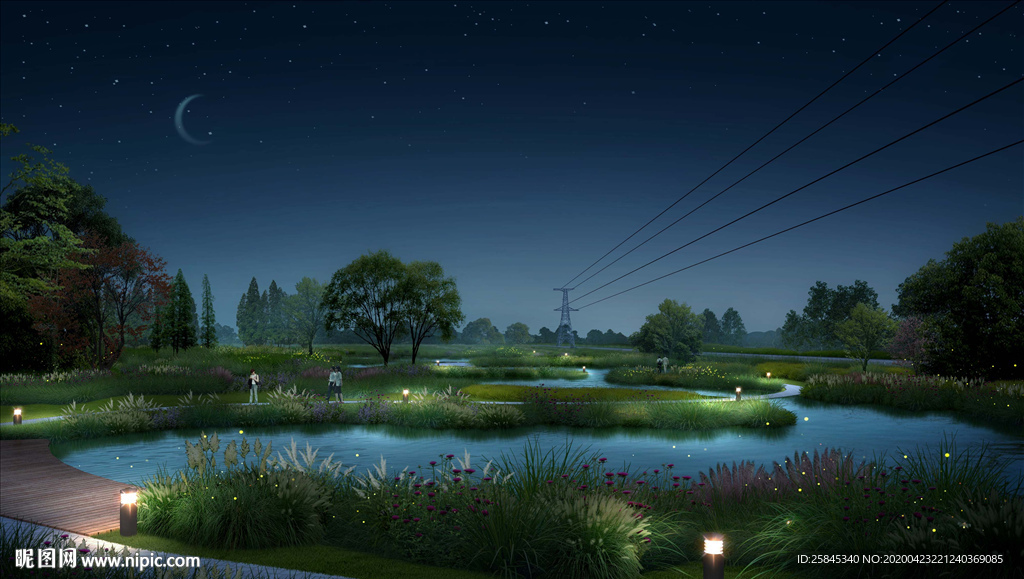湿地夜景