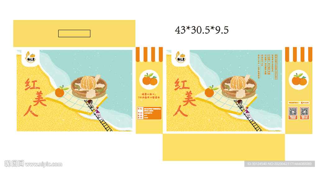 插画橘子包装