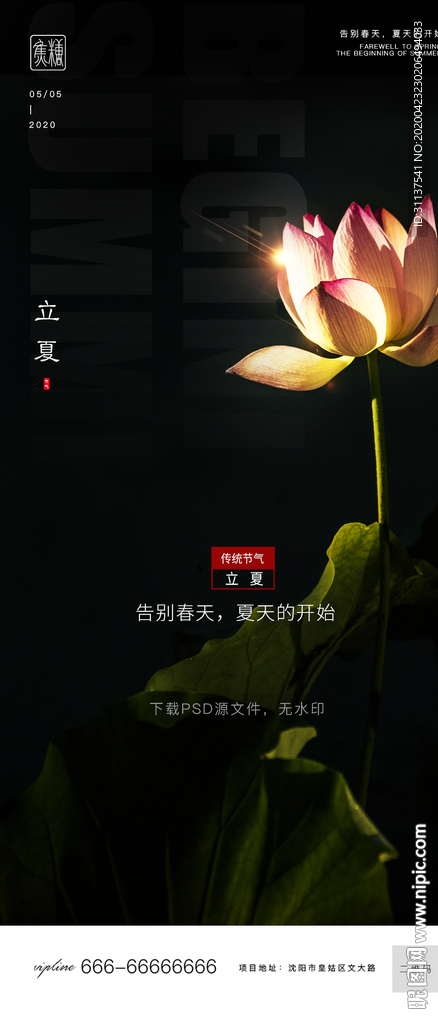 立夏