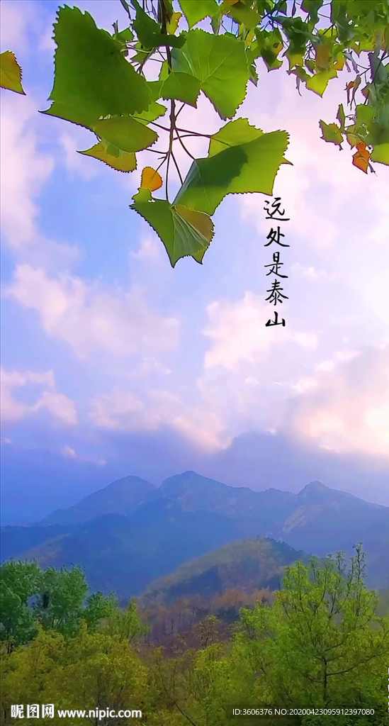 意境山 抖音小视频 绿叶艺术