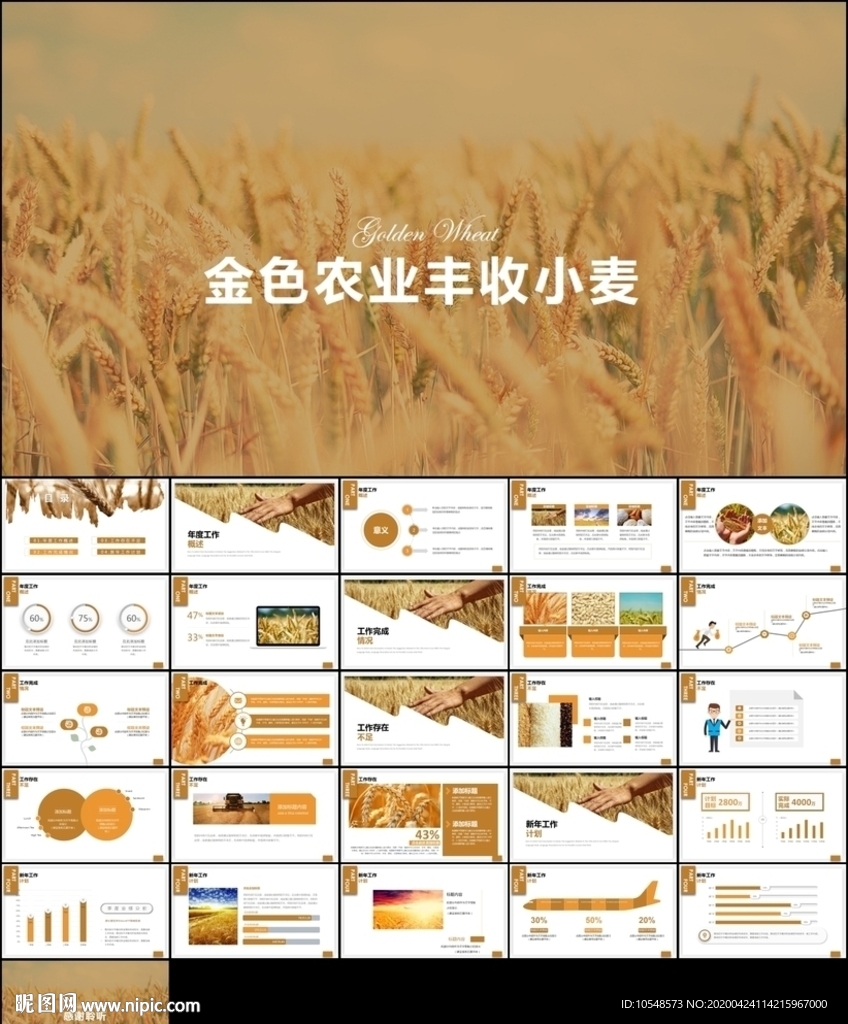 农业种植小麦PPT模板