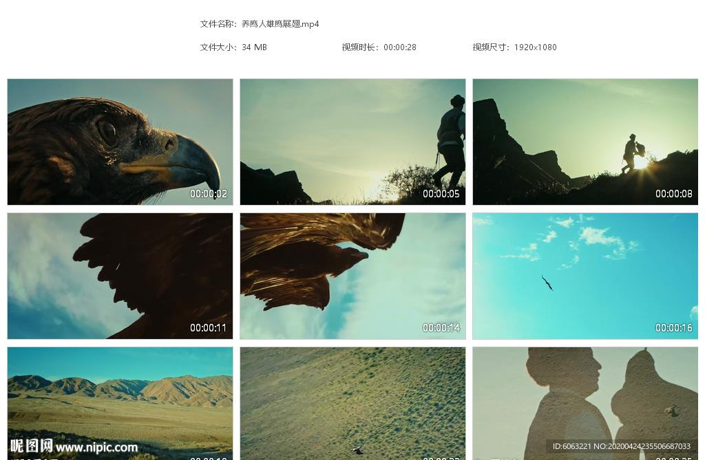 养鹰人雄鹰展翅高原鹰击长空展翅