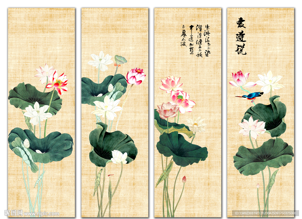 荷花