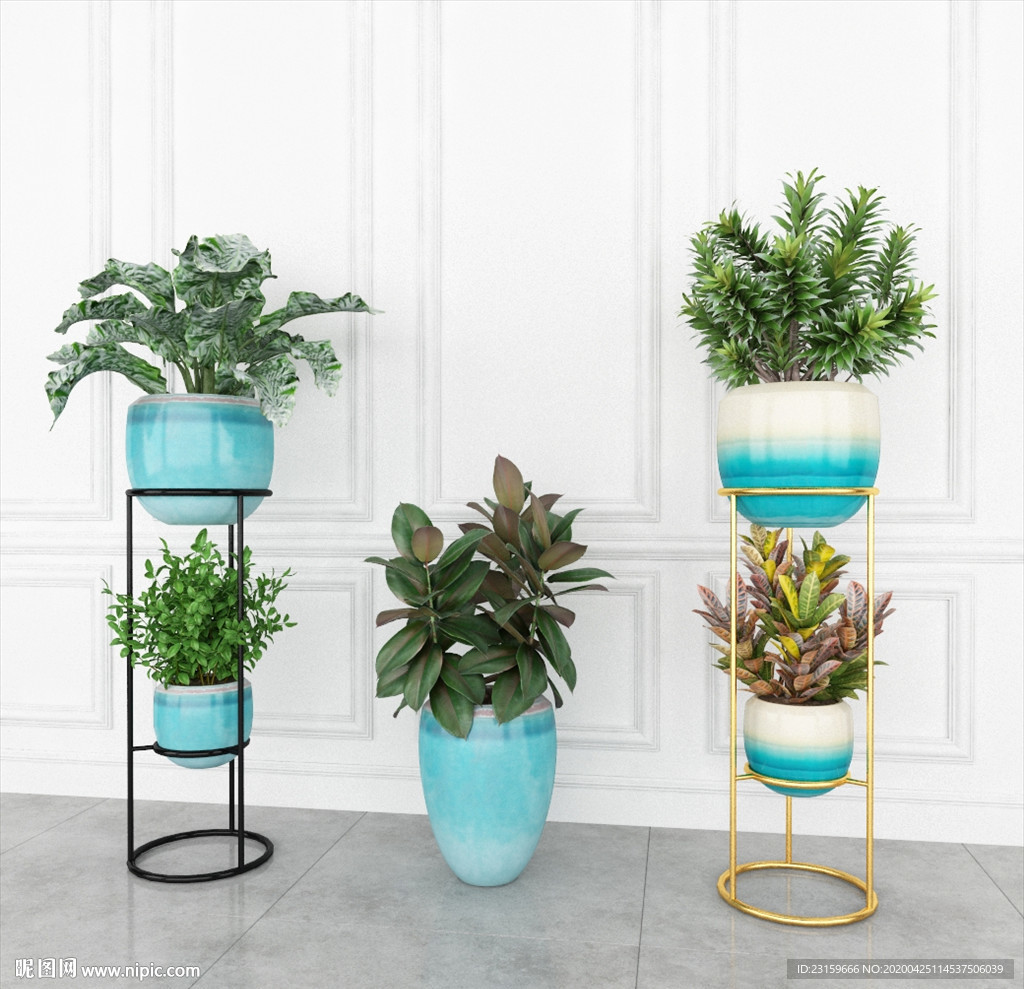 观赏性绿色植物