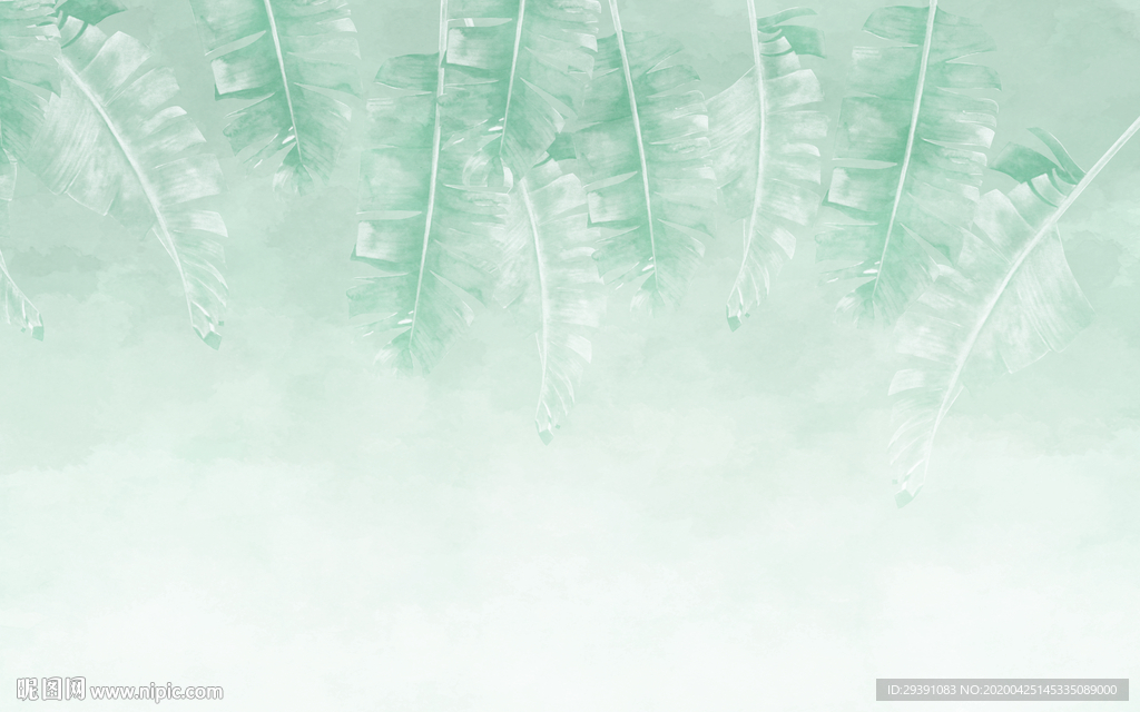 热带植物芭蕉叶简约背景