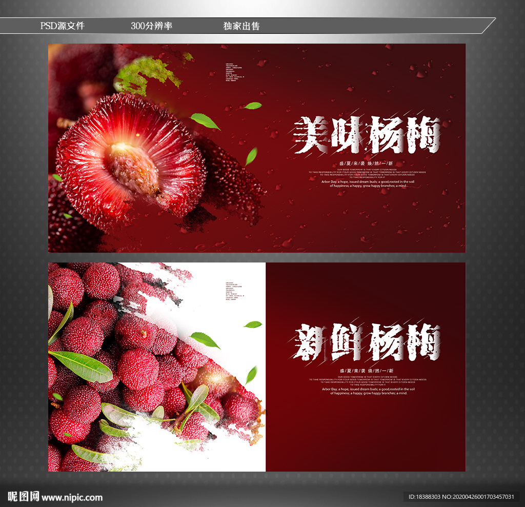 杨梅 时令水果
