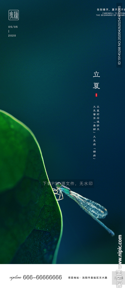 立夏