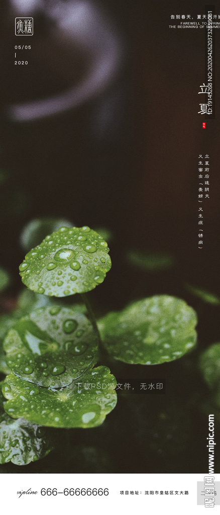 立夏