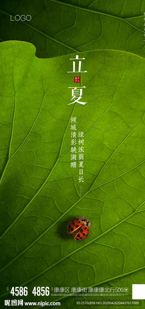 立夏