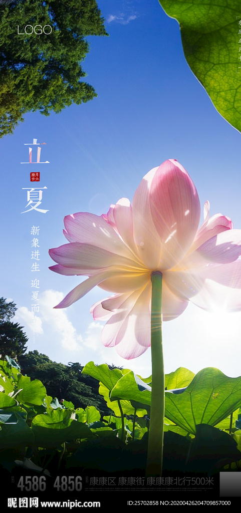 立夏