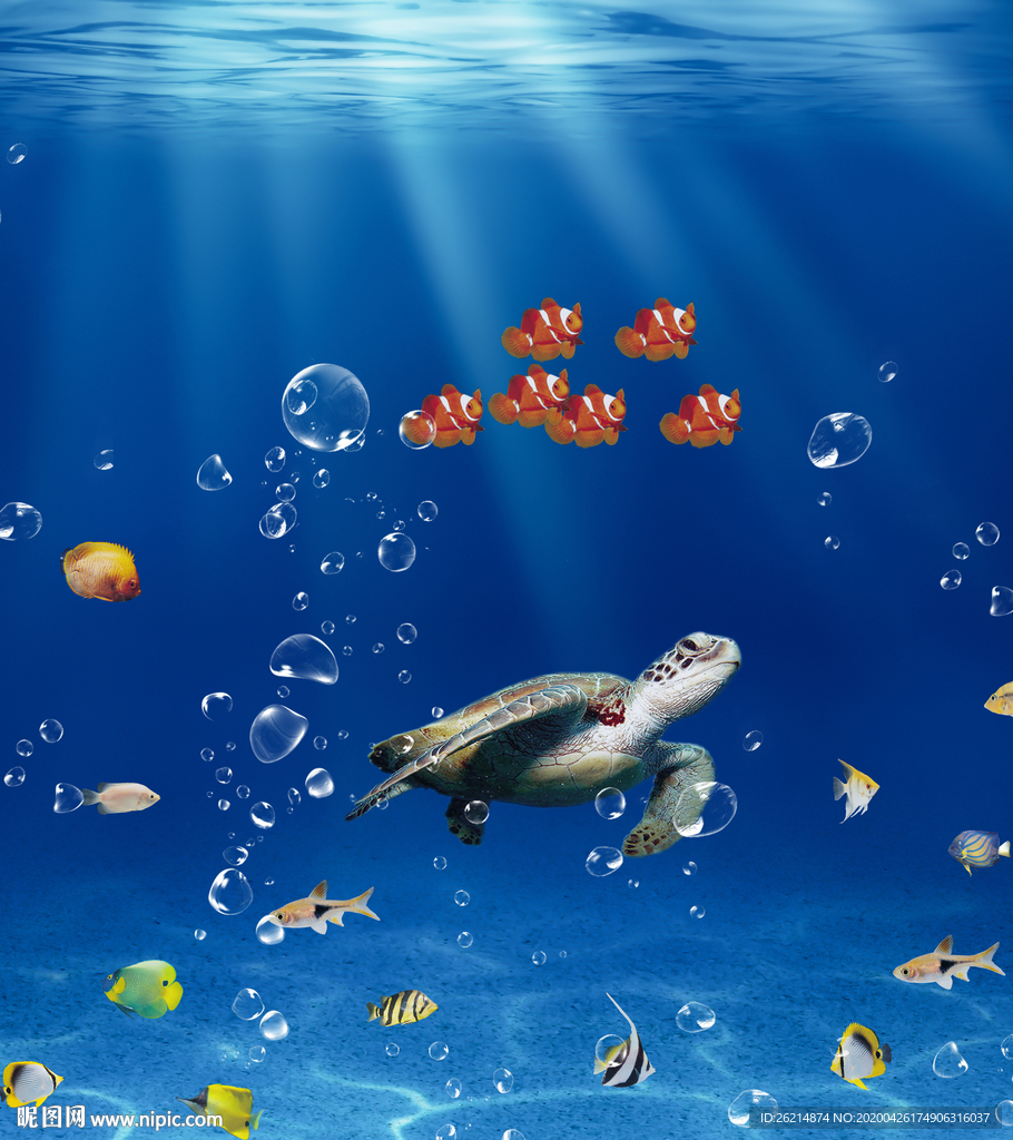 海洋