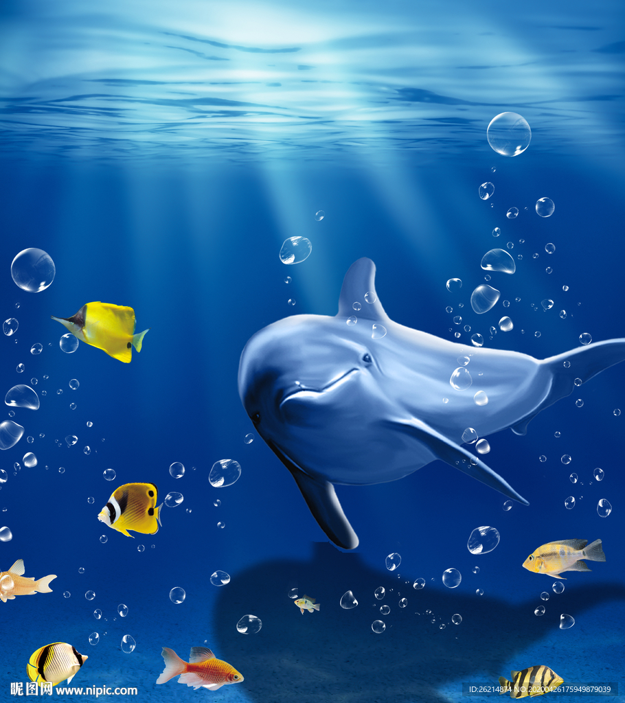 海底世界