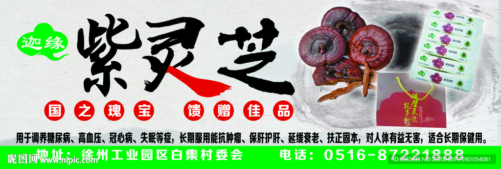 紫灵芝
