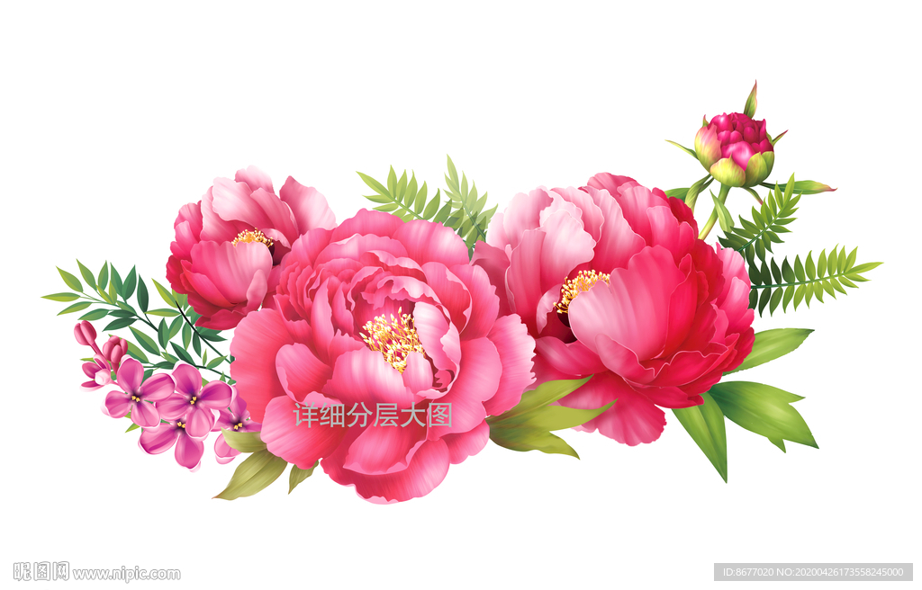 手绘花卉牡丹