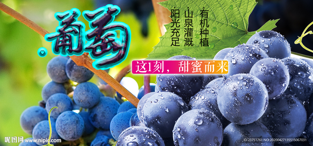 葡萄