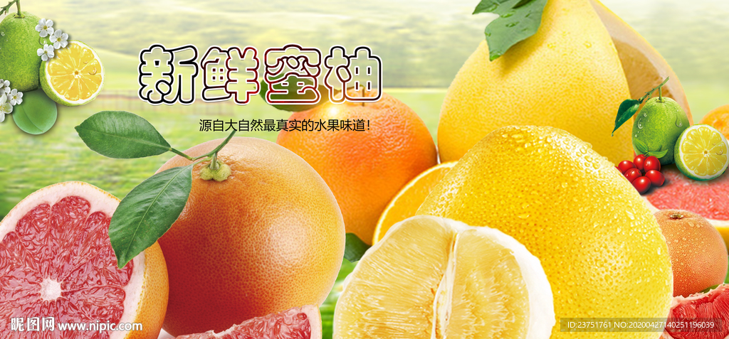 柚子